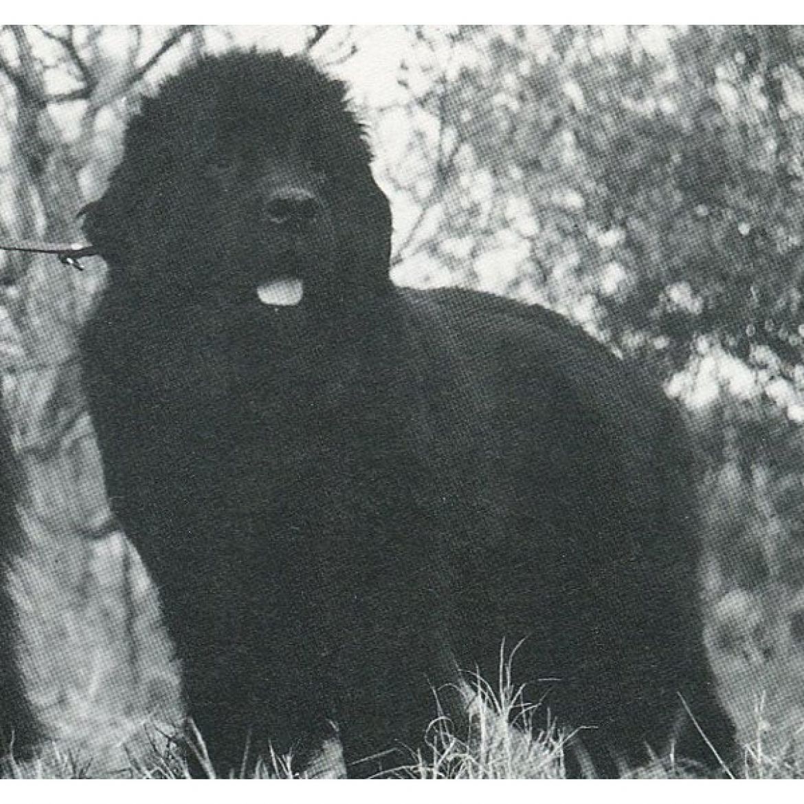 T Ethel degli Angeli Neri (24-02-1974)
